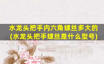 水龙头把手内六角螺丝多大的(水龙头把手螺丝是什么型号)