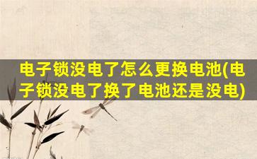 电子锁没电了怎么更换电池(电子锁没电了换了电池还是没电)