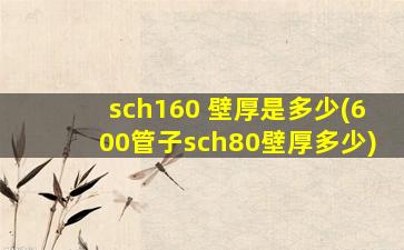 sch160 壁厚是多少(600管子sch80壁厚多少)