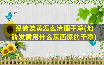 瓷砖发黄怎么清理干净(地砖发黄用什么东西擦的干净)