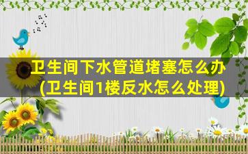 卫生间下水管道堵塞怎么办(卫生间1楼反水怎么处理)