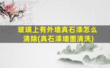 玻璃上有外墙真石漆怎么清除(真石漆墙面清洗)