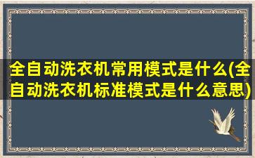 全自动洗衣机常用模式是什么(全自动洗衣机标准模式是什么意思)
