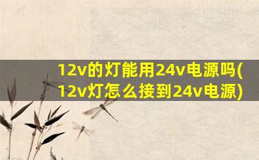 12v的灯能用24v电源吗(12v灯怎么接到24v电源)