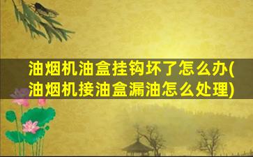 油烟机油盒挂钩坏了怎么办(油烟机接油盒漏油怎么处理)