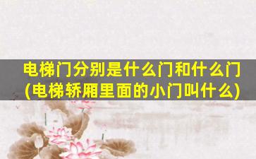 电梯门分别是什么门和什么门(电梯轿厢里面的小门叫什么)