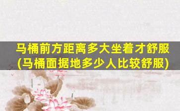 马桶前方距离多大坐着才舒服(马桶面据地多少人比较舒服)