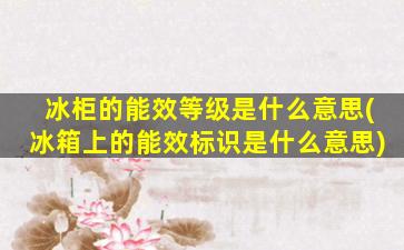 冰柜的能效等级是什么意思(冰箱上的能效标识是什么意思)