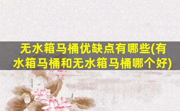 无水箱马桶优缺点有哪些(有水箱马桶和无水箱马桶哪个好)