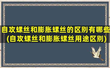 自攻螺丝和膨胀螺丝的区别有哪些(自攻螺丝和膨胀螺丝用途区别)