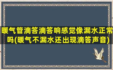 暖气管滴答滴答响感觉像漏水正常吗(暖气不漏水还出现滴答声音)