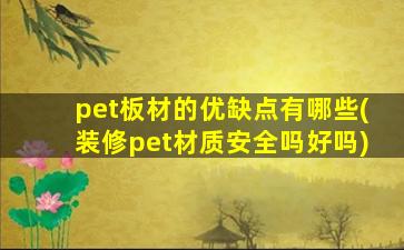 pet板材的优缺点有哪些(装修pet材质安全吗好吗)