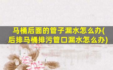 马桶后面的管子漏水怎么办(后排马桶排污管口漏水怎么办)