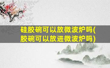 硅胶碗可以放微波炉吗(胶碗可以放进微波炉吗)