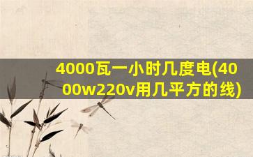 4000瓦一小时几度电(4000w220v用几平方的线)
