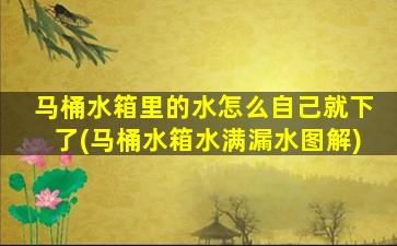 马桶水箱里的水怎么自己就下了(马桶水箱水满漏水图解)