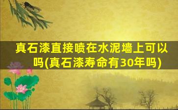 真石漆直接喷在水泥墙上可以吗(真石漆寿命有30年吗)