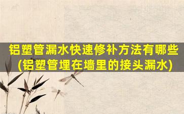 铝塑管漏水快速修补方法有哪些(铝塑管埋在墙里的接头漏水)