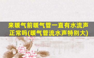 来暖气前暖气管一直有水流声正常吗(暖气管流水声特别大)