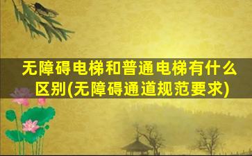 无障碍电梯和普通电梯有什么区别(无障碍通道规范要求)
