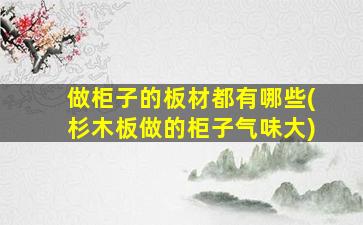 做柜子的板材都有哪些(杉木板做的柜子气味大)
