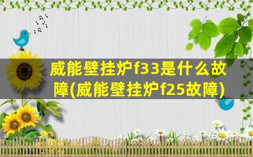 威能壁挂炉f33是什么故障(威能壁挂炉f25故障)