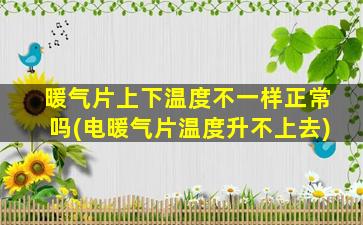 暖气片上下温度不一样正常吗(电暖气片温度升不上去)