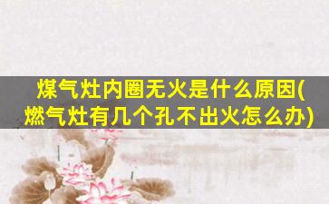 煤气灶内圈无火是什么原因(燃气灶有几个孔不出火怎么办)