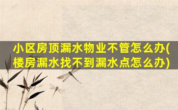 小区房顶漏水物业不管怎么办(楼房漏水找不到漏水点怎么办)