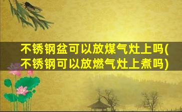 不锈钢盆可以放煤气灶上吗(不锈钢可以放燃气灶上煮吗)