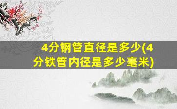 4分钢管直径是多少(4分铁管内径是多少毫米)