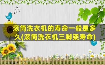 滚筒洗衣机的寿命一般是多久(滚筒洗衣机三脚架寿命)