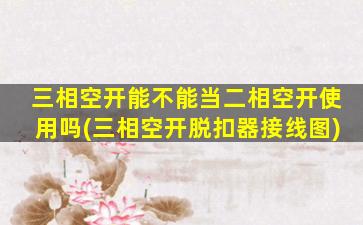 三相空开能不能当二相空开使用吗(三相空开脱扣器接线图)