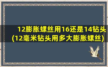 12膨胀螺丝用16还是14钻头(12毫米钻头用多大膨胀螺丝)