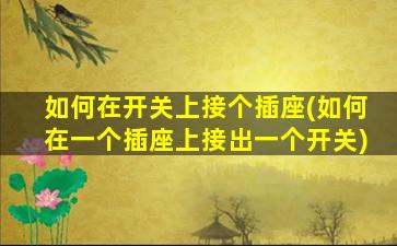 如何在开关上接个插座(如何在一个插座上接出一个开关)