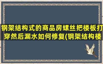 钢架结构式的商品房螺丝把楼板打穿然后漏水如何修复(钢架结构楼板价格)