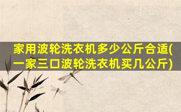 家用波轮洗衣机多少公斤合适(一家三口波轮洗衣机买几公斤)