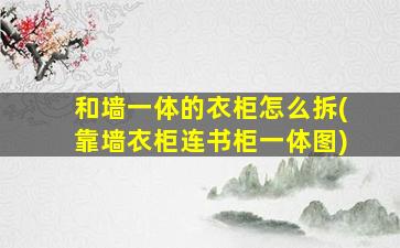 和墙一体的衣柜怎么拆(靠墙衣柜连书柜一体图)