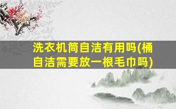 洗衣机筒自洁有用吗(桶自洁需要放一根毛巾吗)