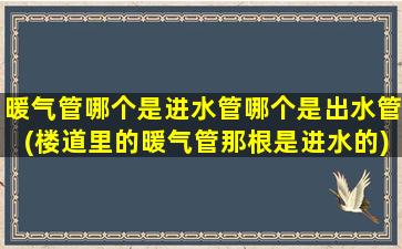 暖气管哪个是进水管哪个是出水管(楼道里的暖气管那根是进水的)