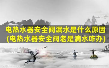 电热水器安全阀漏水是什么原因(电热水器安全阀老是滴水咋办)