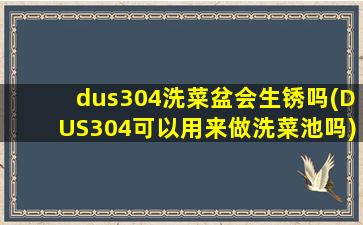dus304洗菜盆会生锈吗(DUS304可以用来做洗菜池吗)