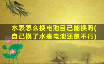 水表怎么换电池自己能换吗(自己换了水表电池还是不行)