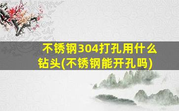 不锈钢304打孔用什么钻头(不锈钢能开孔吗)