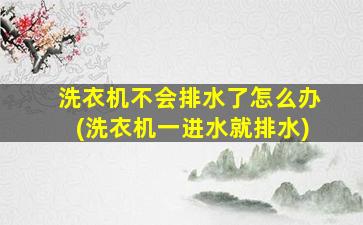 洗衣机不会排水了怎么办(洗衣机一进水就排水)