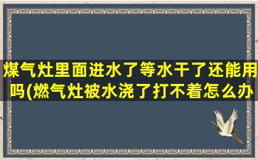 煤气灶里面进水了等水干了还能用吗(燃气灶被水浇了打不着怎么办)