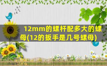 12mm的螺杆配多大的螺母(12的扳手是几号螺母)