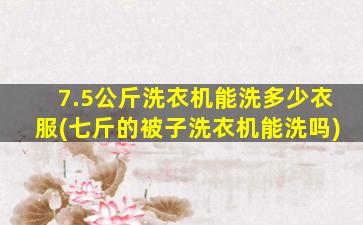 7.5公斤洗衣机能洗多少衣服(七斤的被子洗衣机能洗吗)