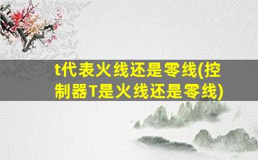 t代表火线还是零线(控制器T是火线还是零线)