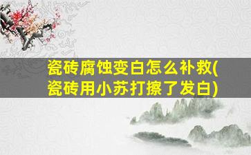 瓷砖腐蚀变白怎么补救(瓷砖用小苏打擦了发白)